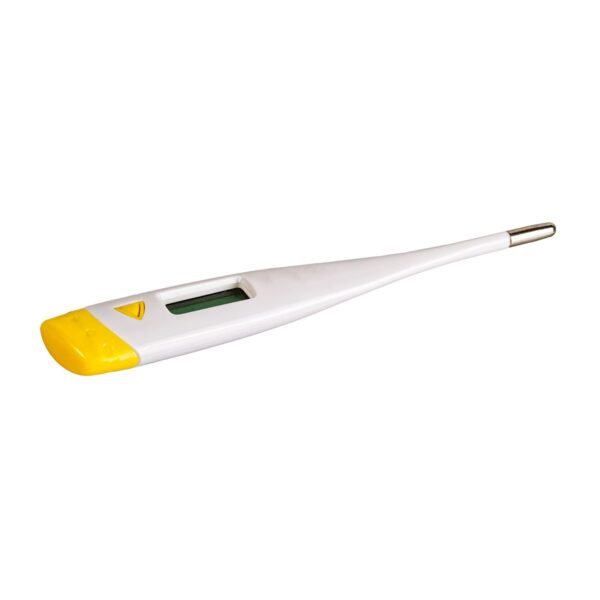 Digital Thermometer - Image 2